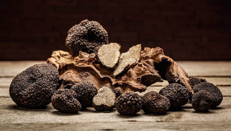 Medicina Natural 137