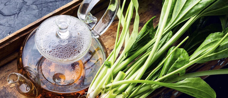 Medicina Natural 139a