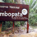 Reserva Natural de Tambopata (PERU)
