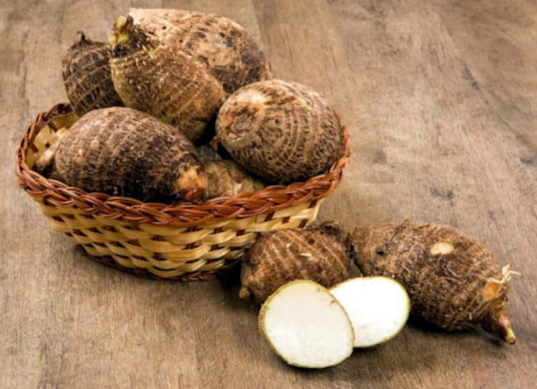 Medicina Natural 142