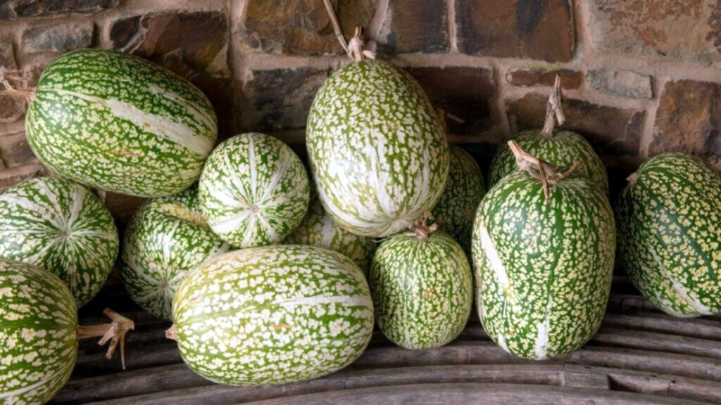 Medicina Natural 143 1