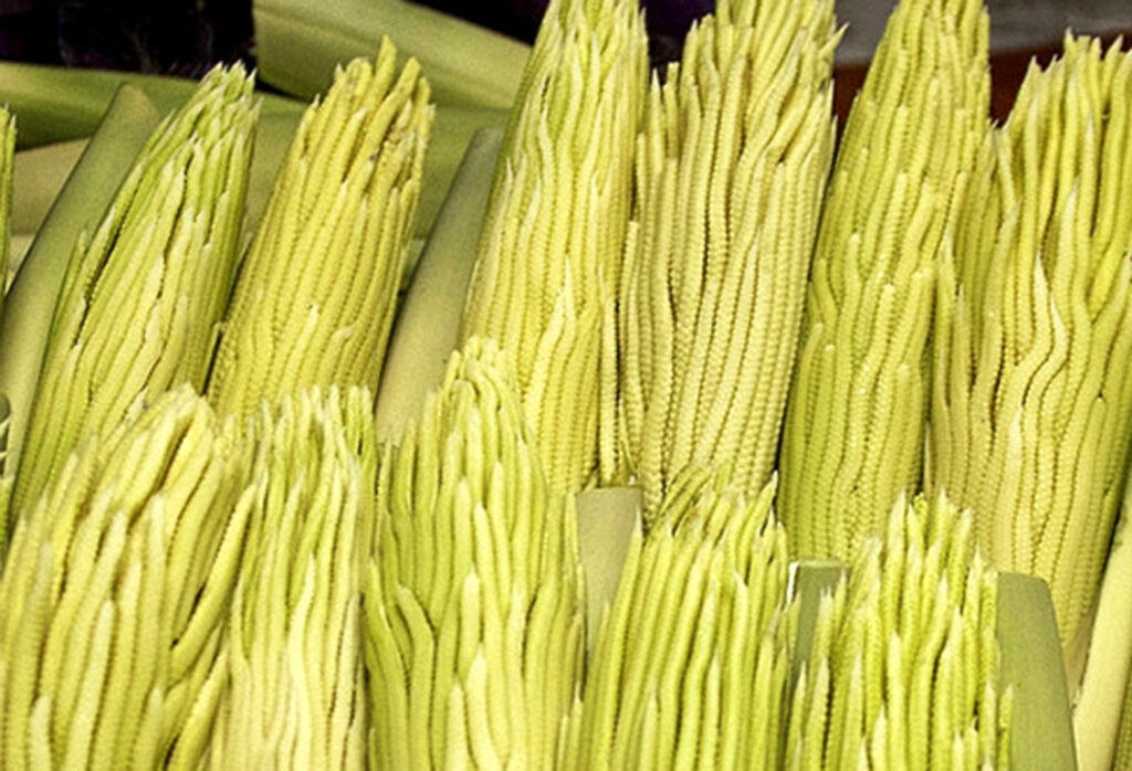 Medicina Natural 144