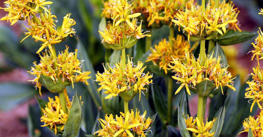 xr:d:DAE3MbiCGeE:199,j:2215057292585975216,t:23121315