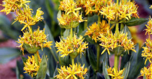 xr:d:DAE3MbiCGeE:199,j:2215057292585975216,t:23121315