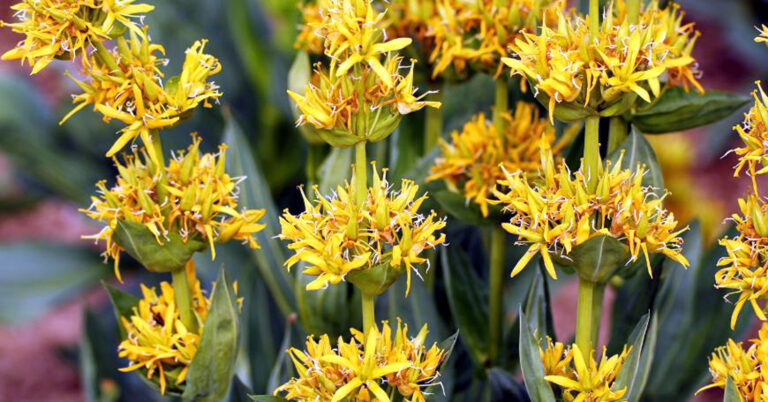 xr:d:DAE3MbiCGeE:199,j:2215057292585975216,t:23121315