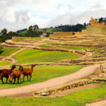 Complejo Arqueológico Ingapirca (Ecuador)