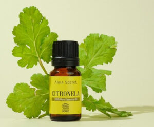 Medicina Natural 149 1