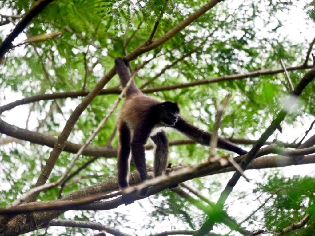 Turismo El Salvador 152a