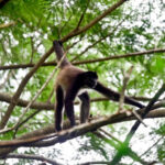 Turismo El Salvador 152a